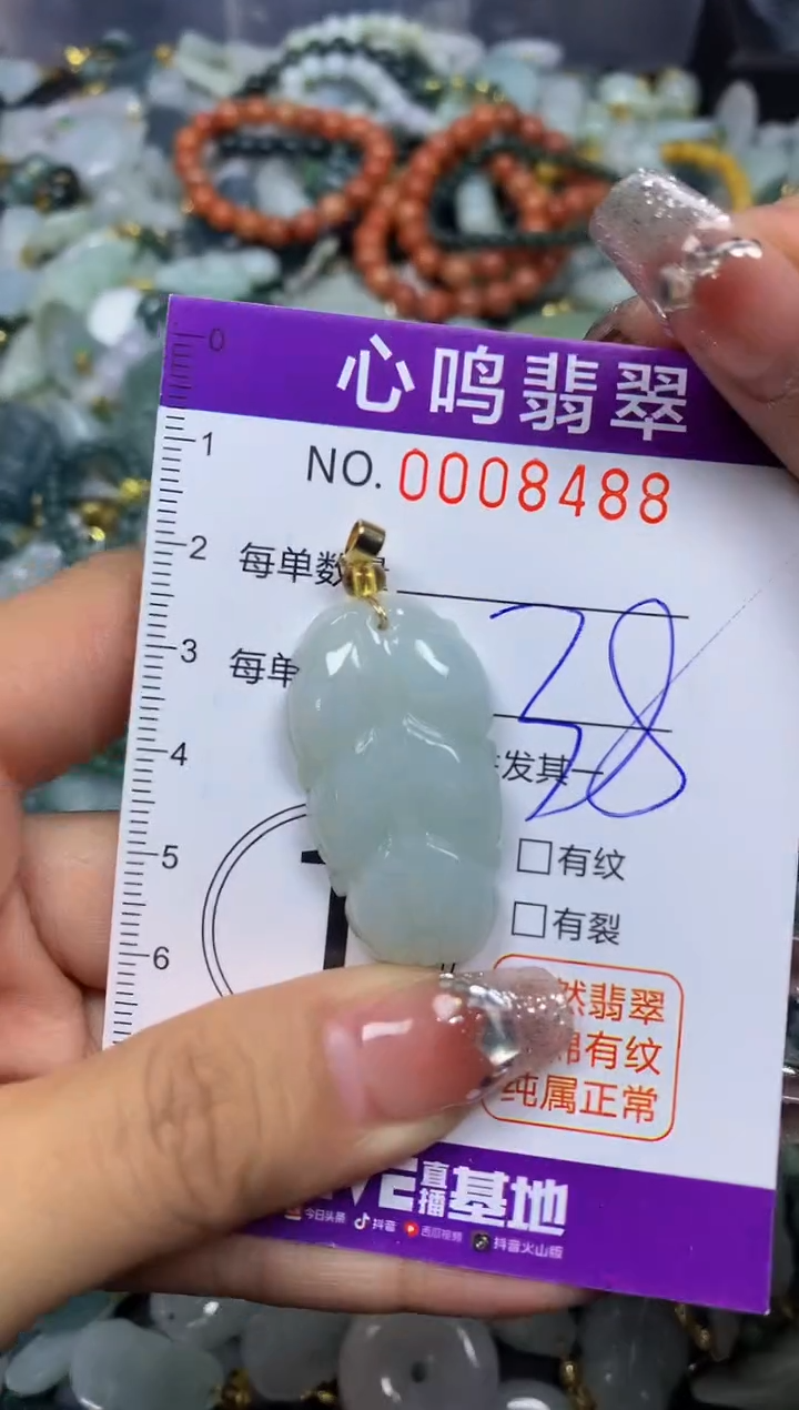 【闪购商品】翡翠颈饰未镶嵌闪购008488