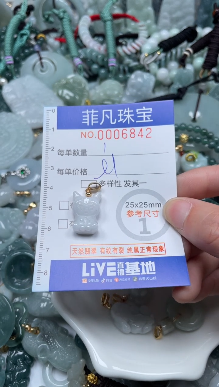 【闪购商品】翡翠颈饰未镶嵌00..6842