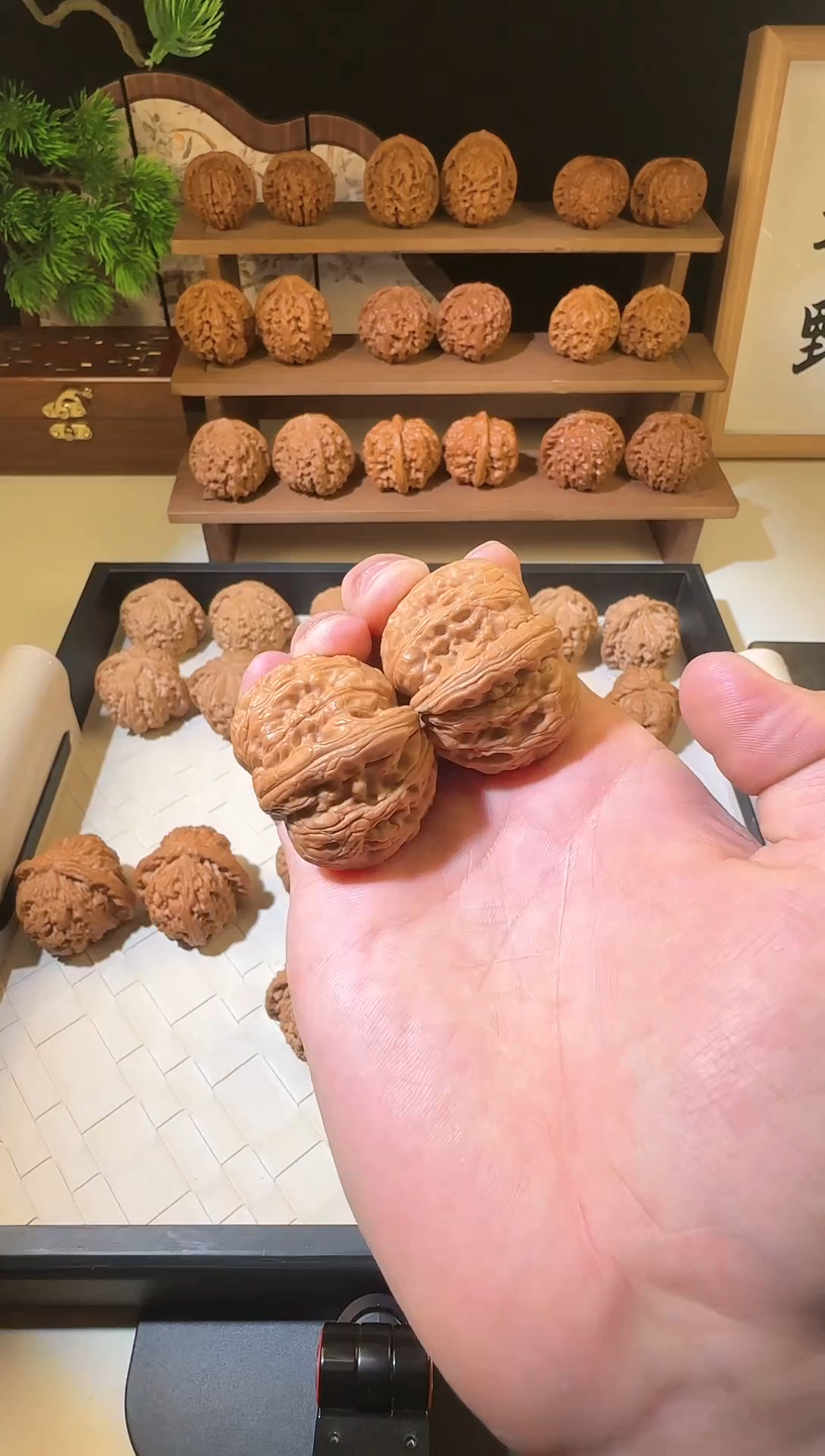 【闪购商品】文玩核桃把件40+全品元宝