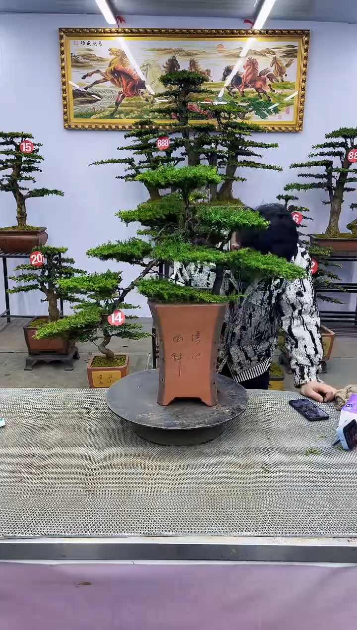 【闪购商品】啊啊啊啊