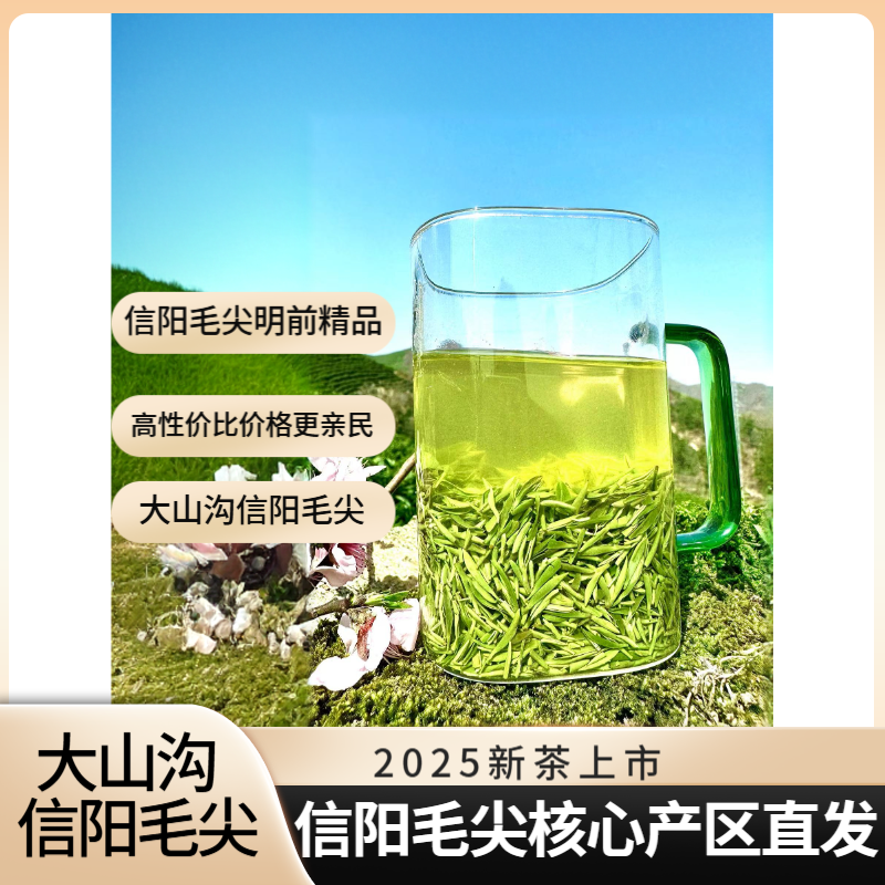 【2025新茶】大山沟•信阳毛尖明前精品风针