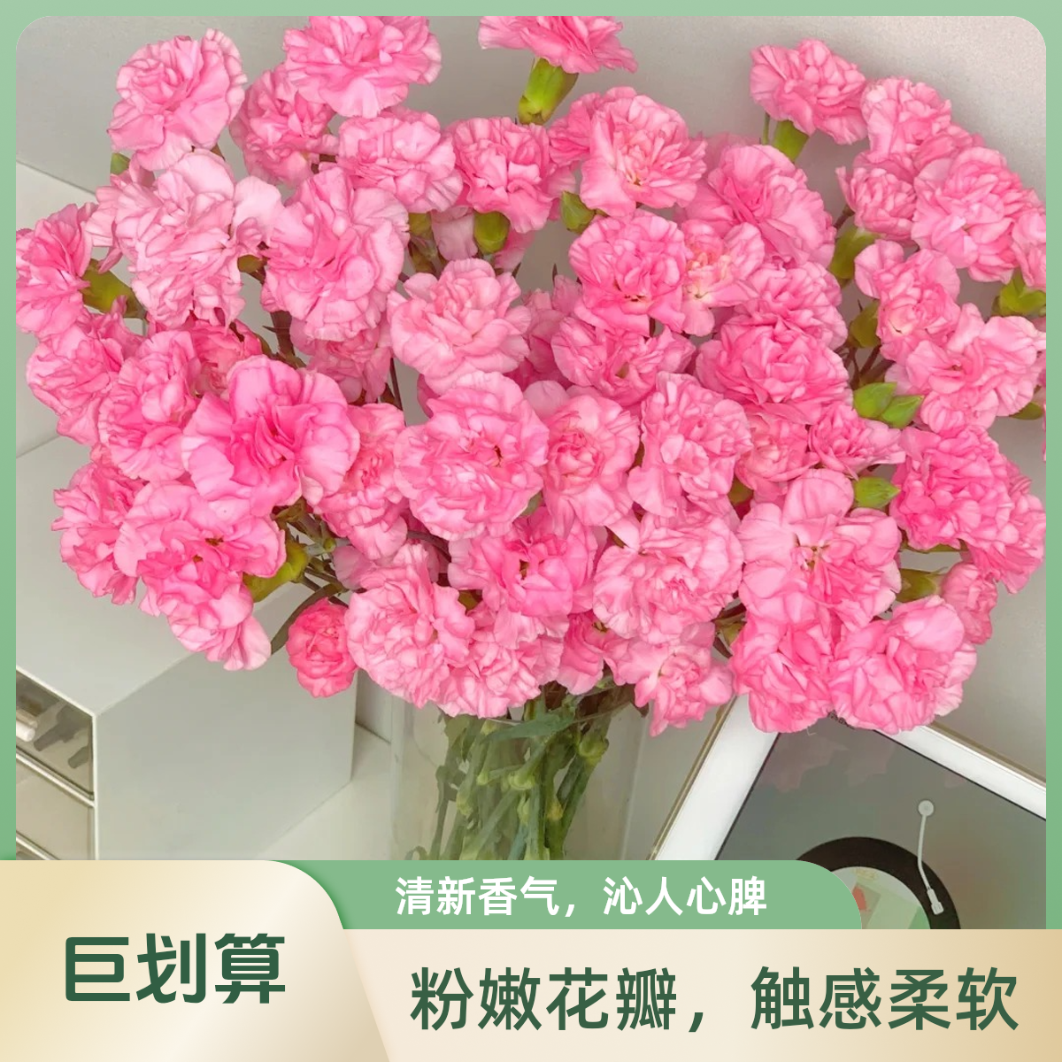 【珍珠粉多头康乃馨10支】家居生活鲜花全场任意满三单送花瓶顺丰包邮