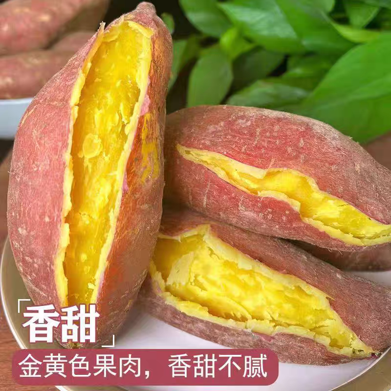 【老品种沙地黄心蜜薯】5斤实惠装香甜不腻老品种老味道