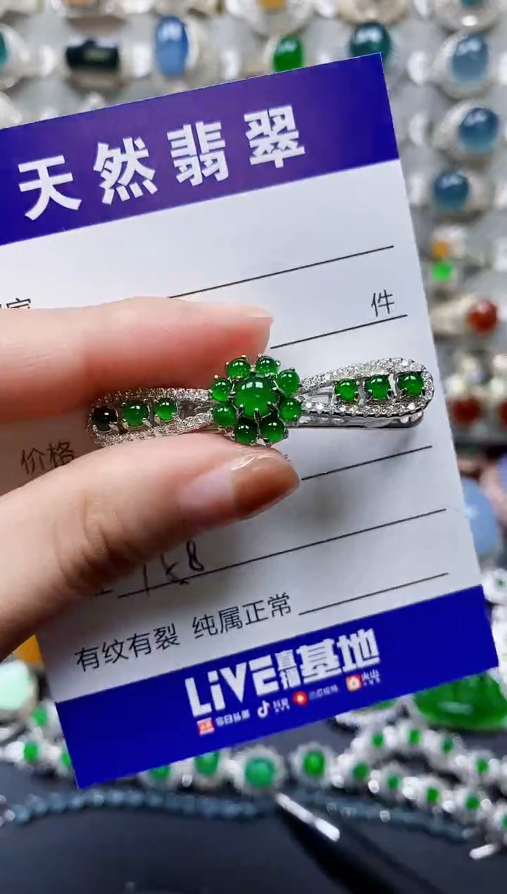 【闪购商品】翡翠颈饰银S925镶嵌0158