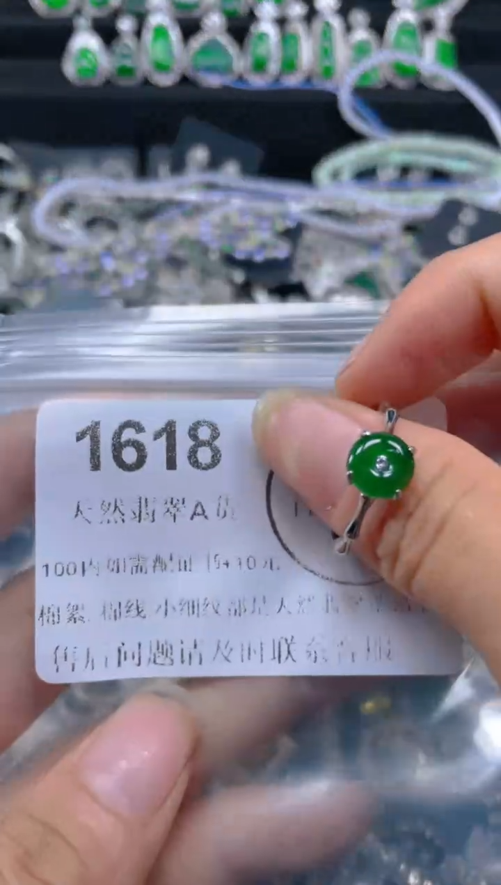 翡翠未镶嵌颈饰1618