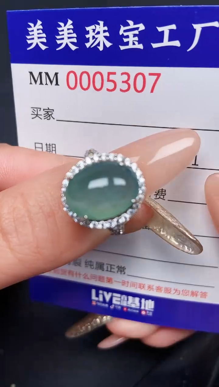 【闪购商品】翡翠颈饰银S925镶嵌5307