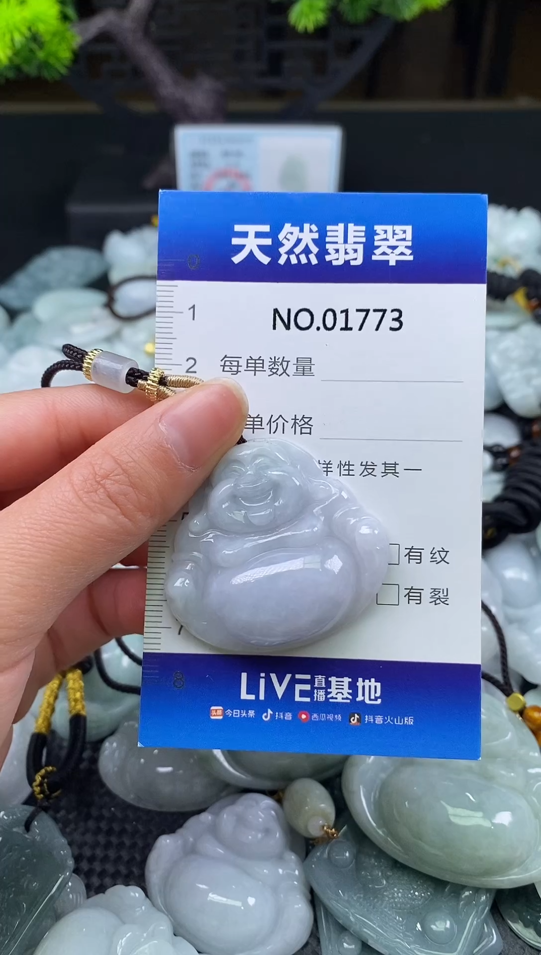 颈饰未镶嵌翡翠天然缅甸翡翠1773