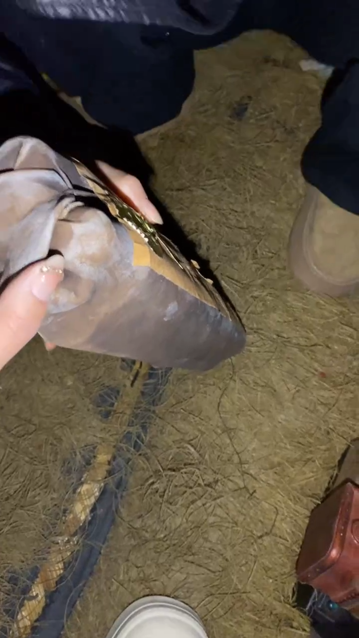 香榧木一一一一一一一一福利