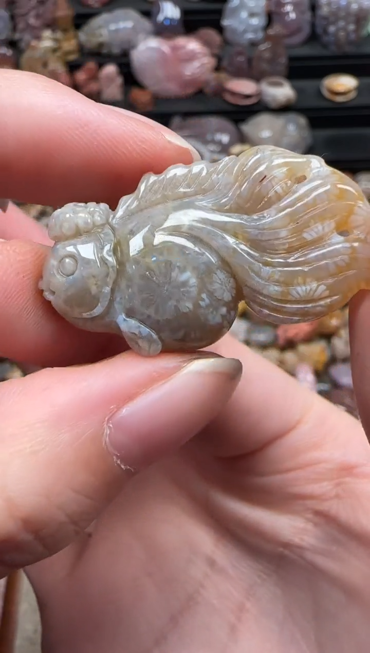 颈饰未镶嵌硅化珊瑚（珊瑚玉）155