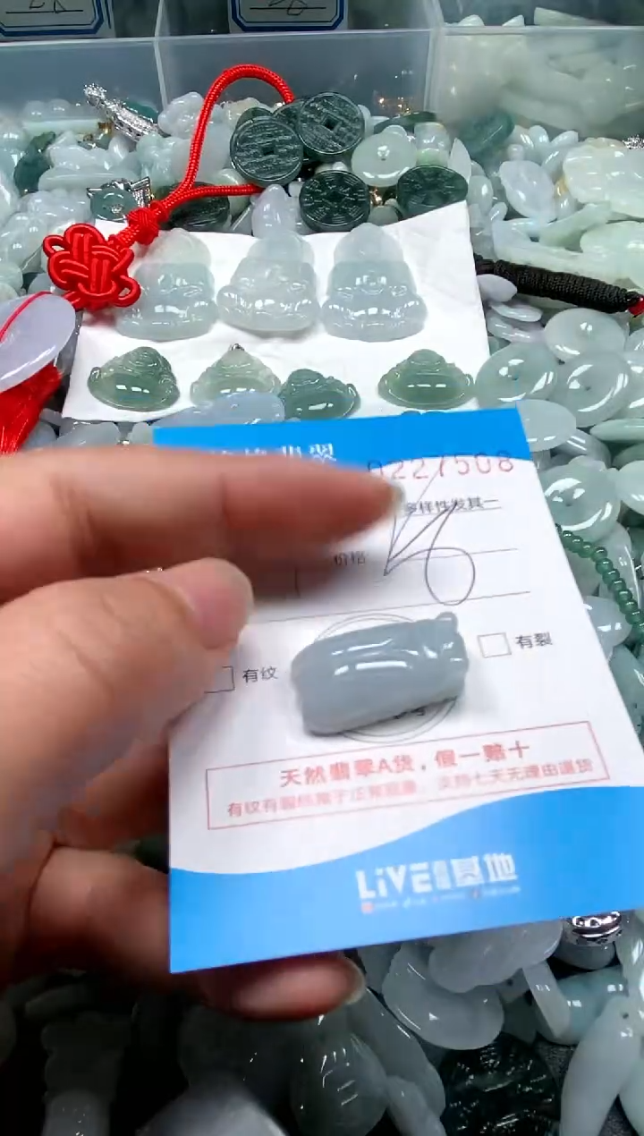 【闪购商品】翡翠颈饰未镶嵌闪购商品0227508