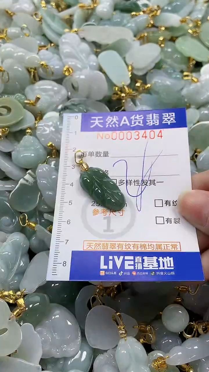 颈饰未镶嵌翡翠纯天然a货翡翠