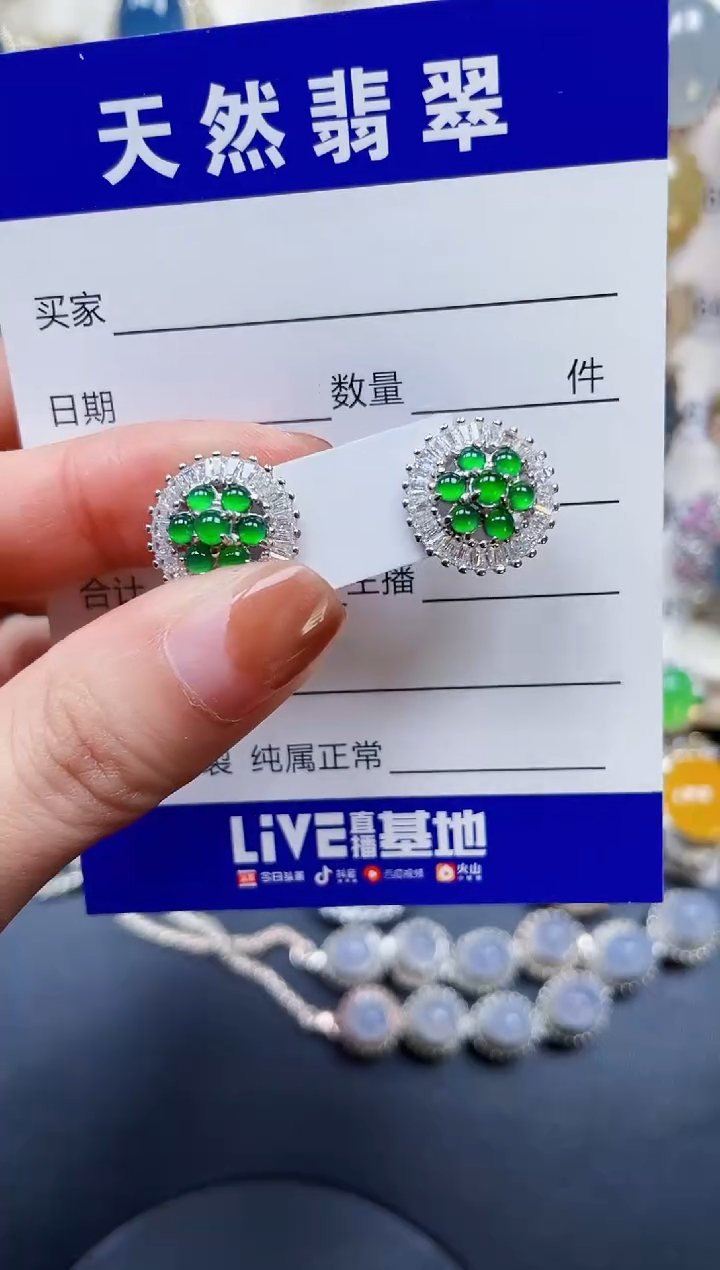 银S925镶嵌翡翠耳饰165