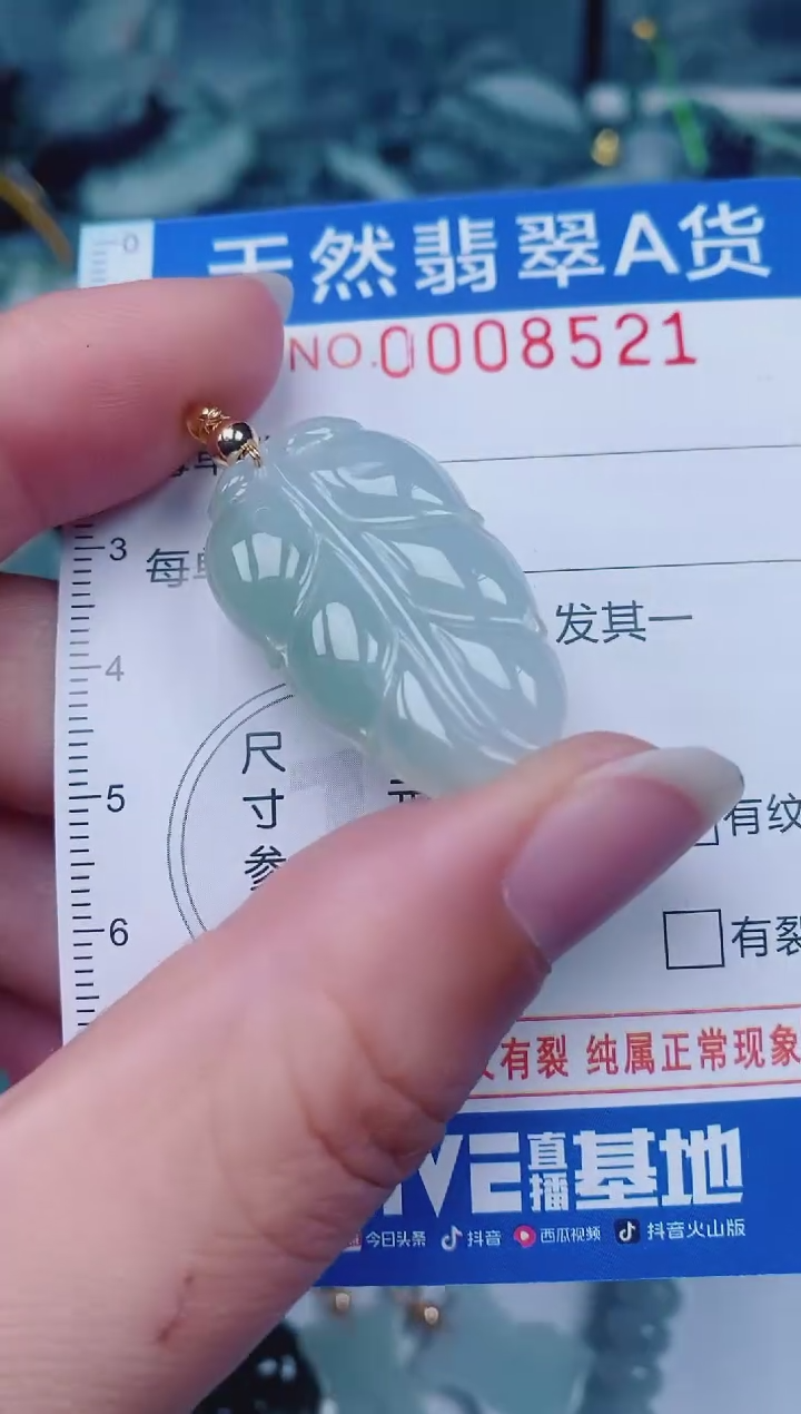 颈饰未镶嵌翡翠00008521