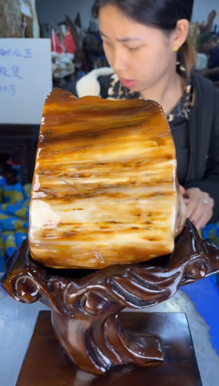 未镶嵌摆件硅化玉36