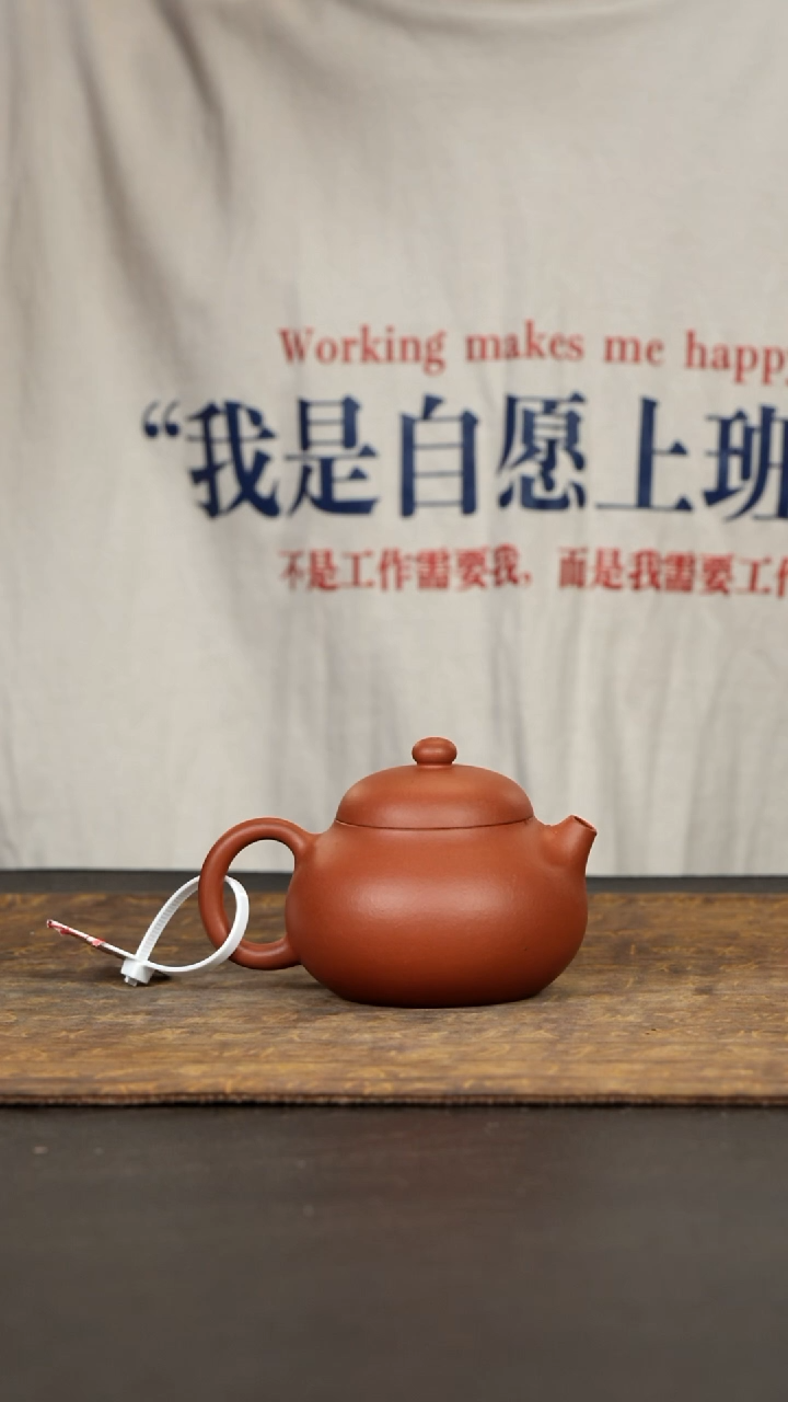 茶壶紫砂文旦小红泥120cc