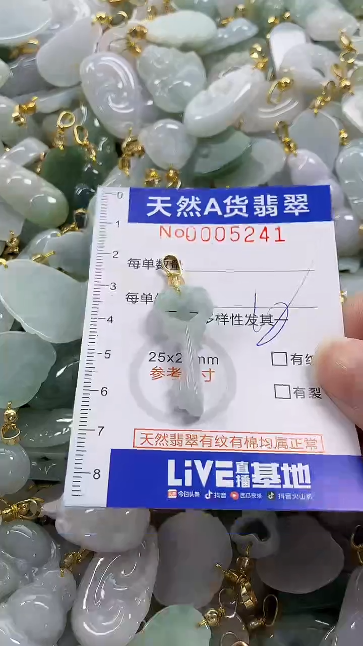 颈饰未镶嵌翡翠纯天然货翡翠