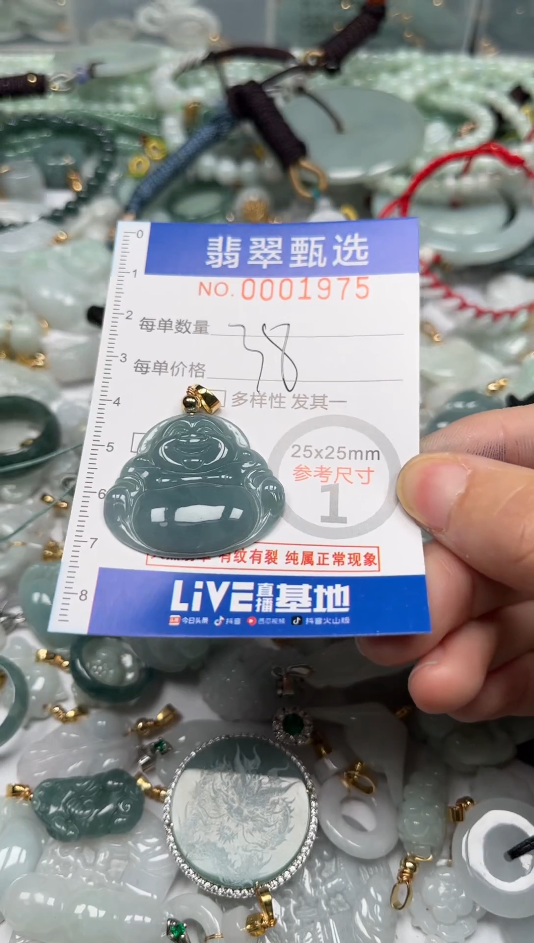 【闪购商品】翡翠颈饰未镶嵌00..1975