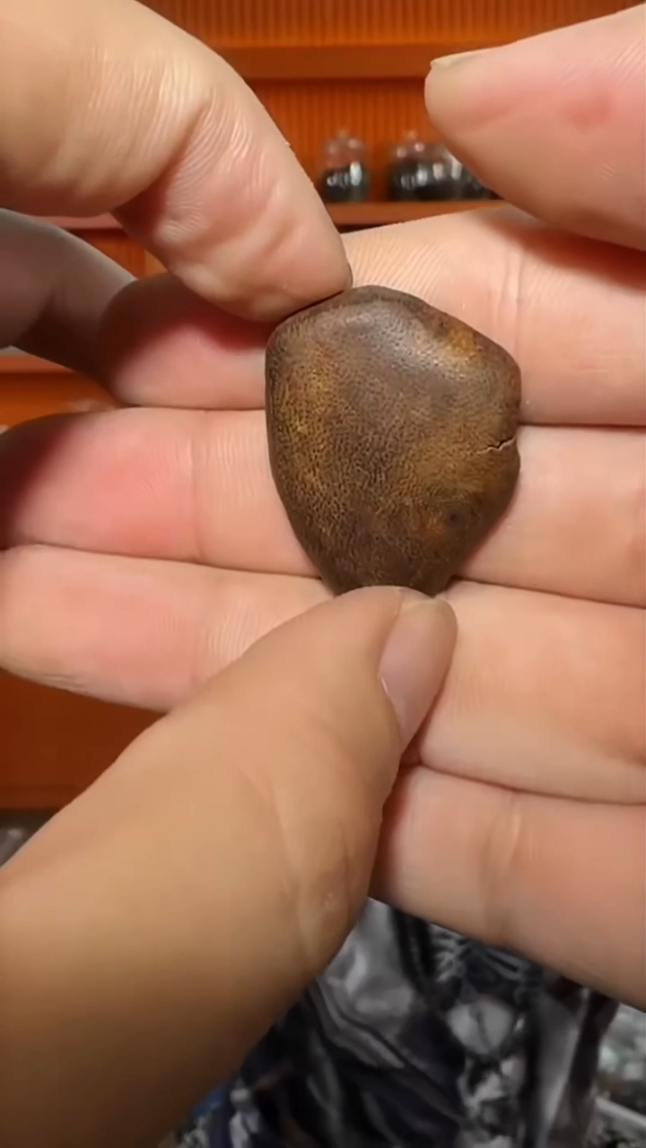 沉香手串51号红土多样性发一