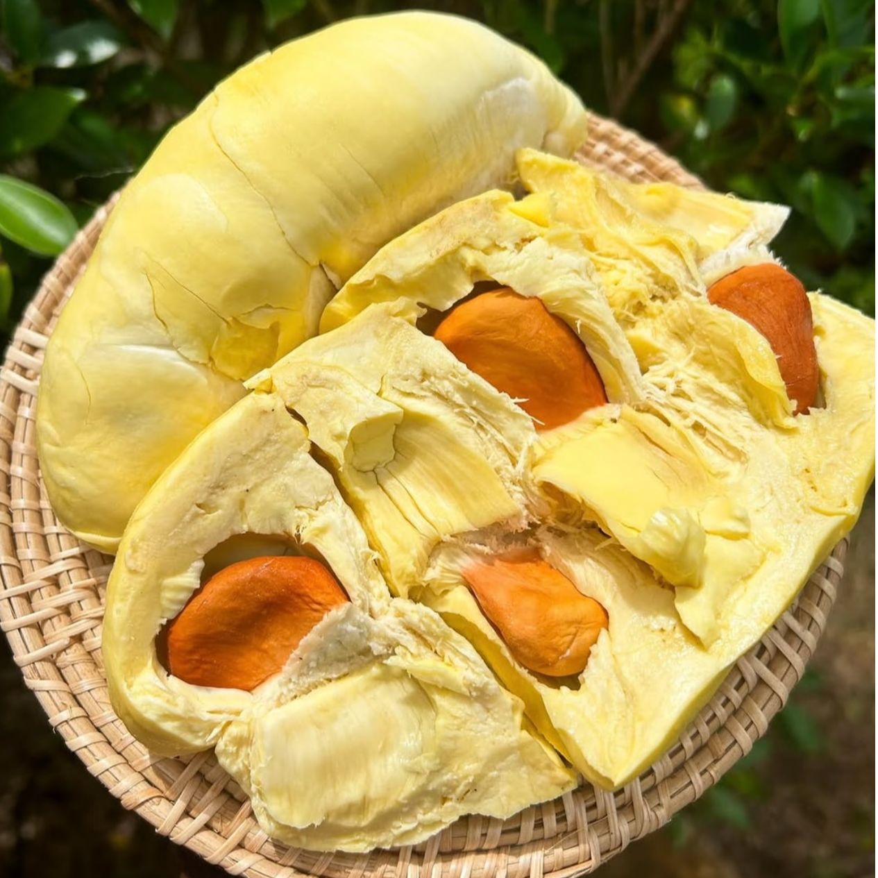 【希望您每次购买都是因为满意我们的品质而不是将就】泰国树熟金枕鲜榴莲 干包糯香甜 斤 核小金枕泰国