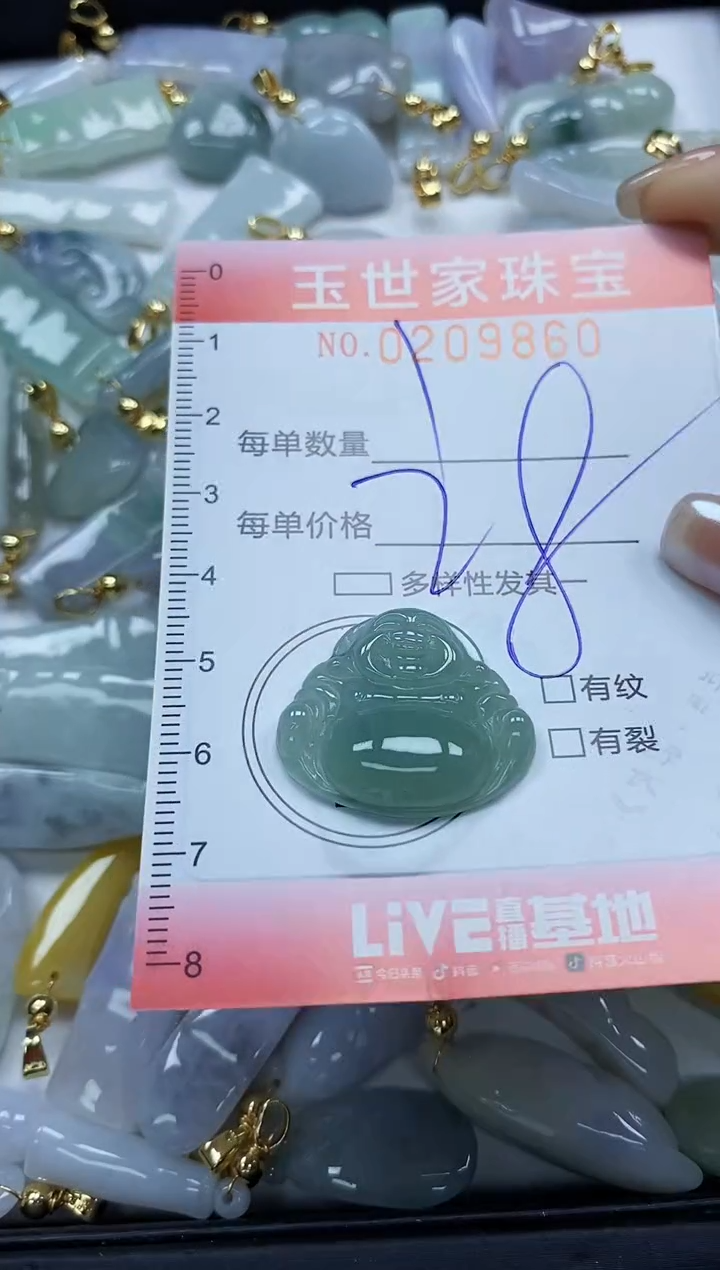 【闪购商品】翡翠颈饰未镶嵌闪购0209860