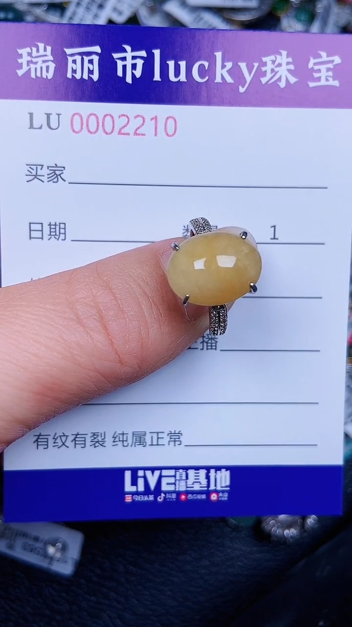 颈饰银S925镶嵌翡翠2210