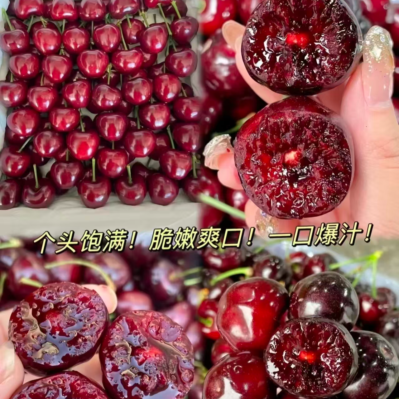 智利空运进口JD桑提娜车厘子5斤原箱礼盒送礼樱桃XL内附果径卡桑提娜樱桃智利共和国