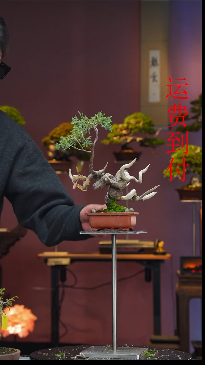 无花朵和**尘10761