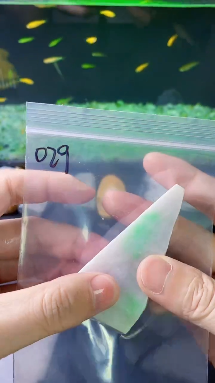 【闪购商品】翡翠未镶嵌颈饰029天然A货翡翠