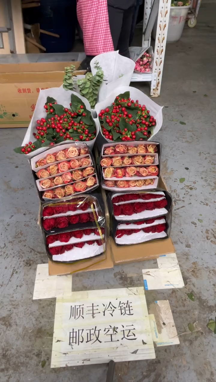 高原红20枝+卡布20枝+红豆+尤加利