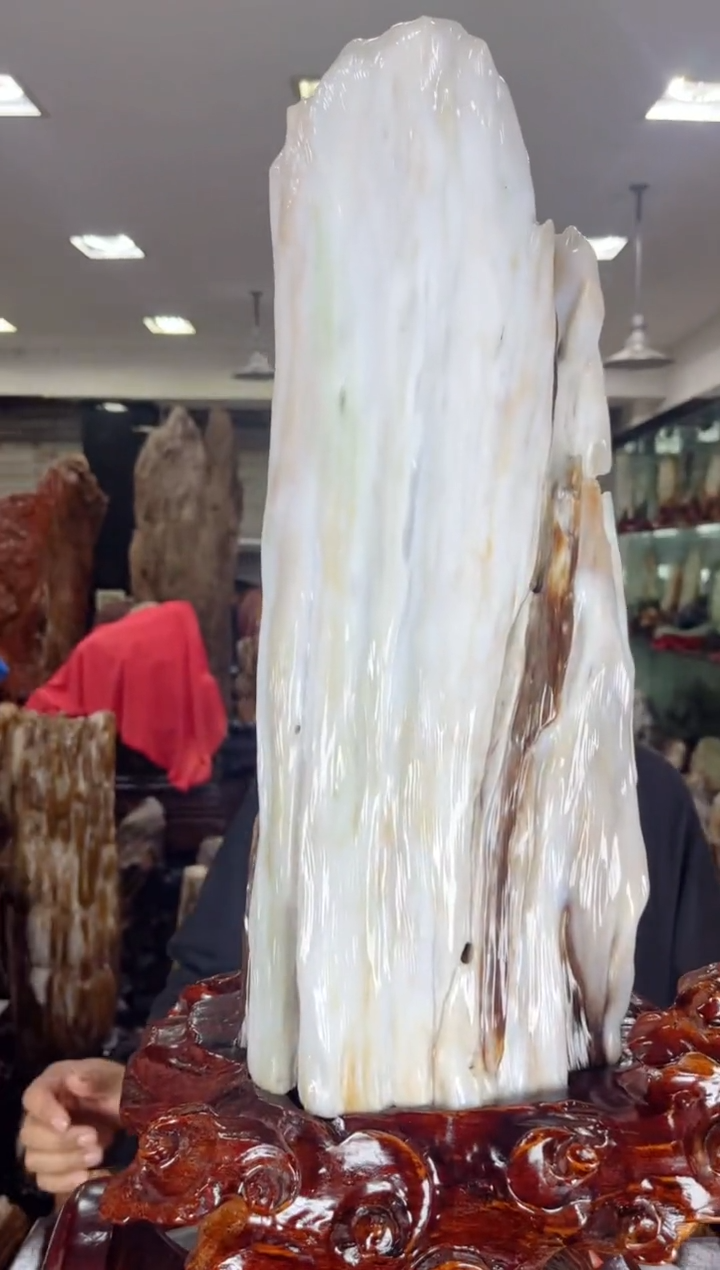 【闪购商品】硅化玉珠宝奇石未镶嵌缅甸天然树化玉