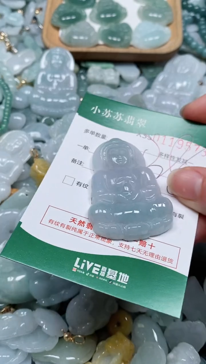 【闪购商品】翡翠颈饰未镶嵌闪购商品0119573