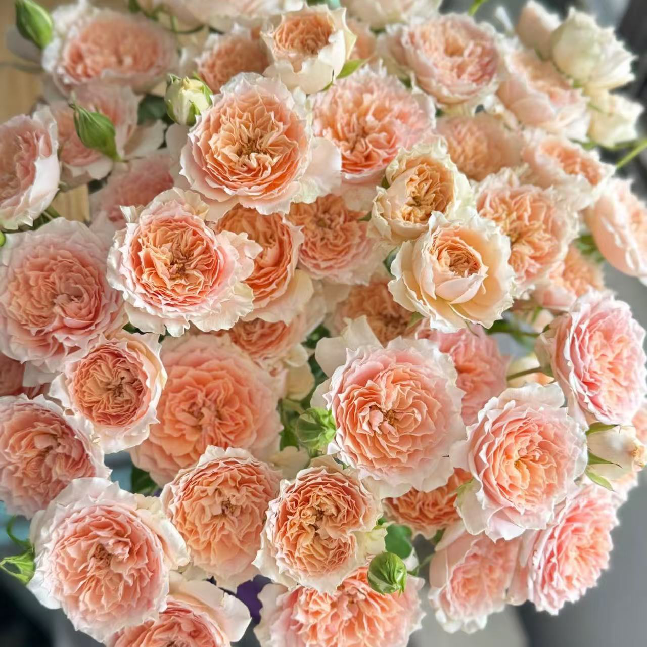 逸禾基地杏色拉拉队多头玫瑰鲜花基地直发2单顺丰包邮含保鲜剂