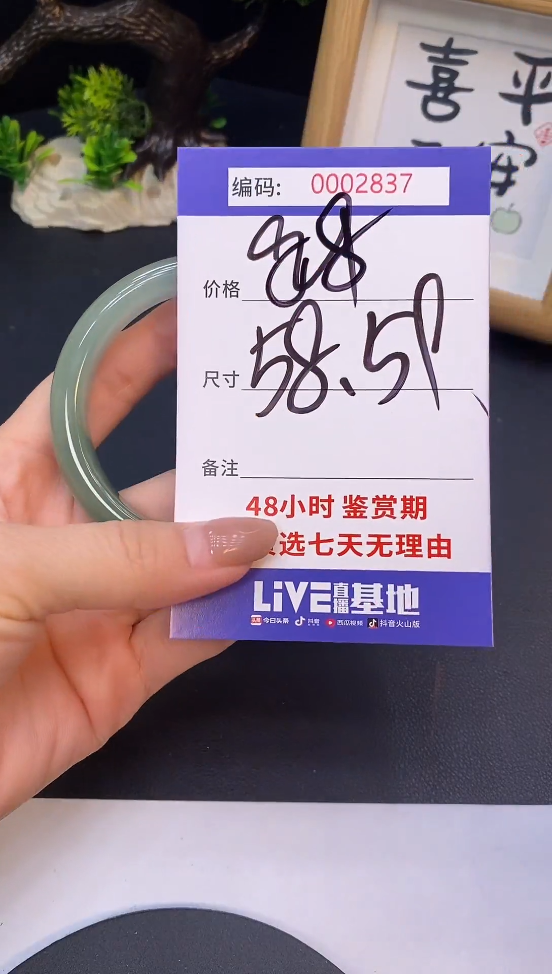未镶嵌手镯翡翠0002837