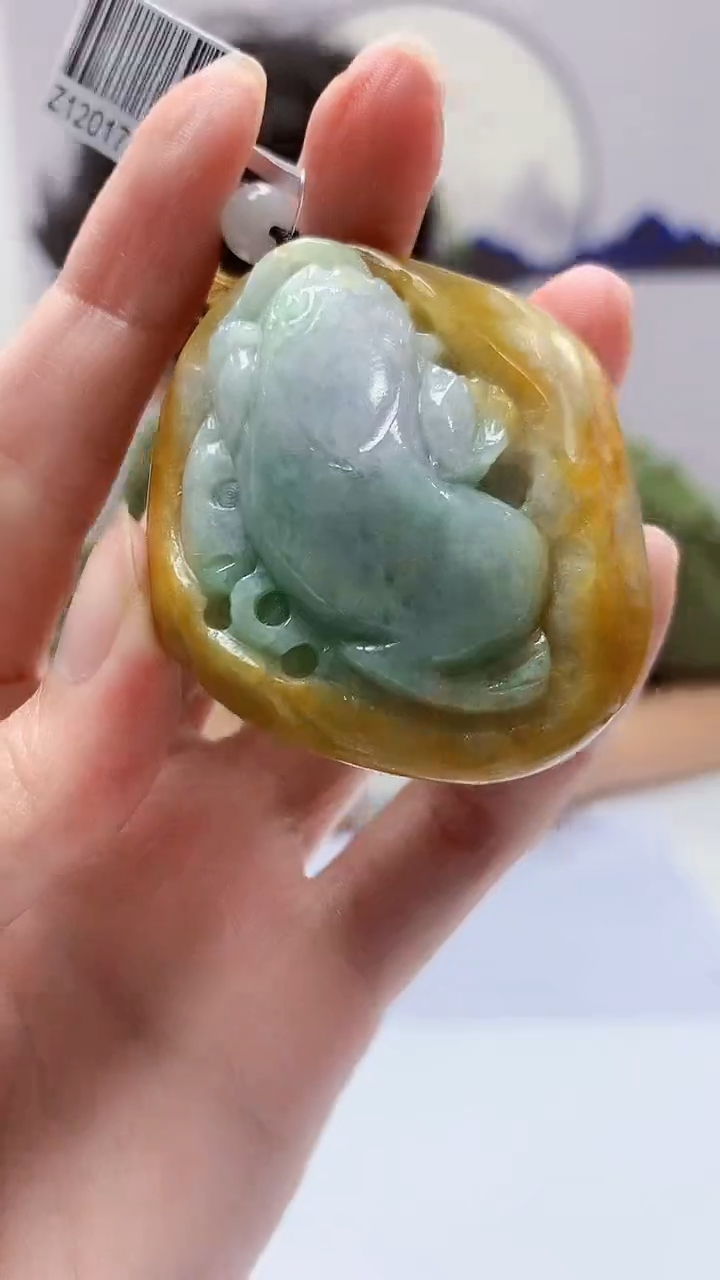 【闪购商品】定制翡翠未镶嵌4688zm-毛货挂件103
