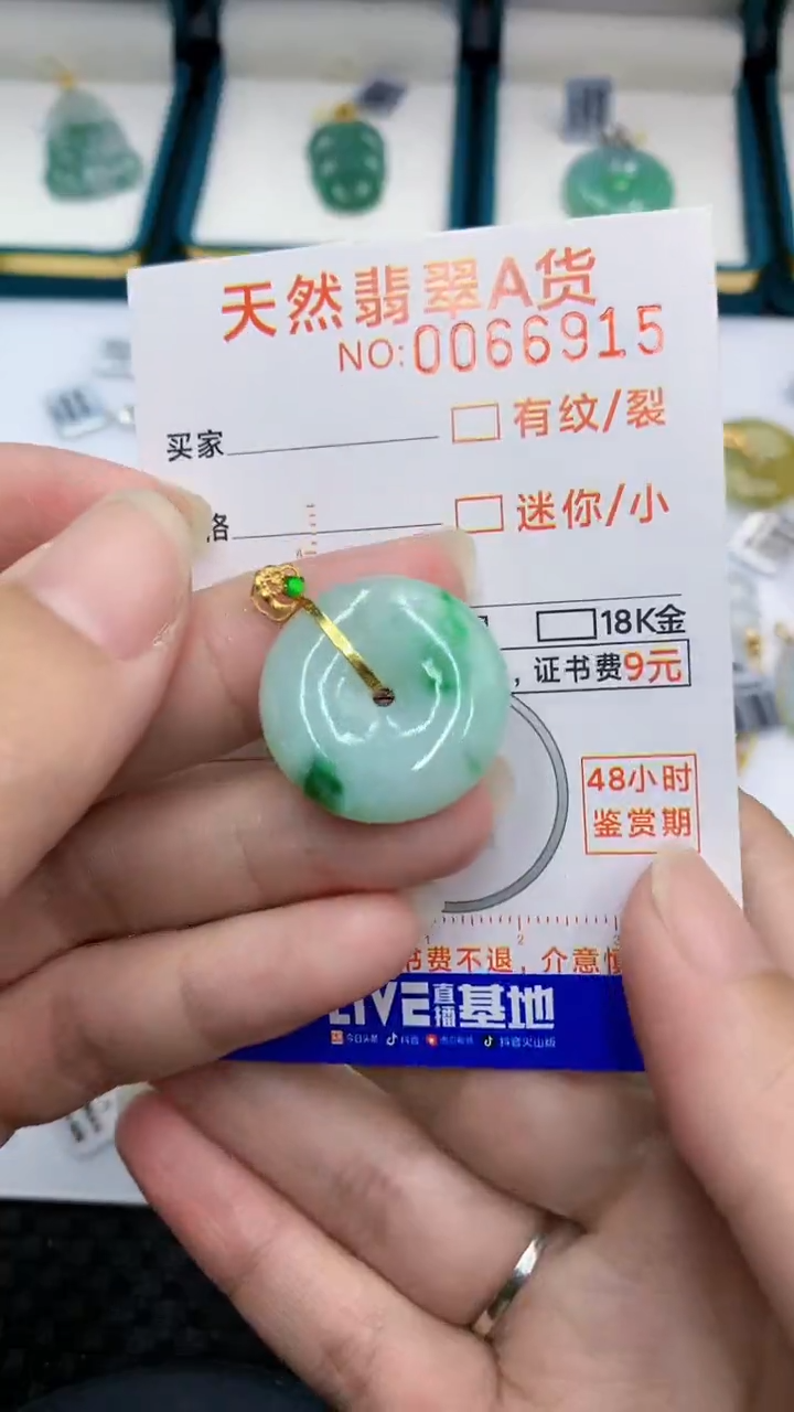 【闪购商品】翡翠颈饰18K金镶嵌            8