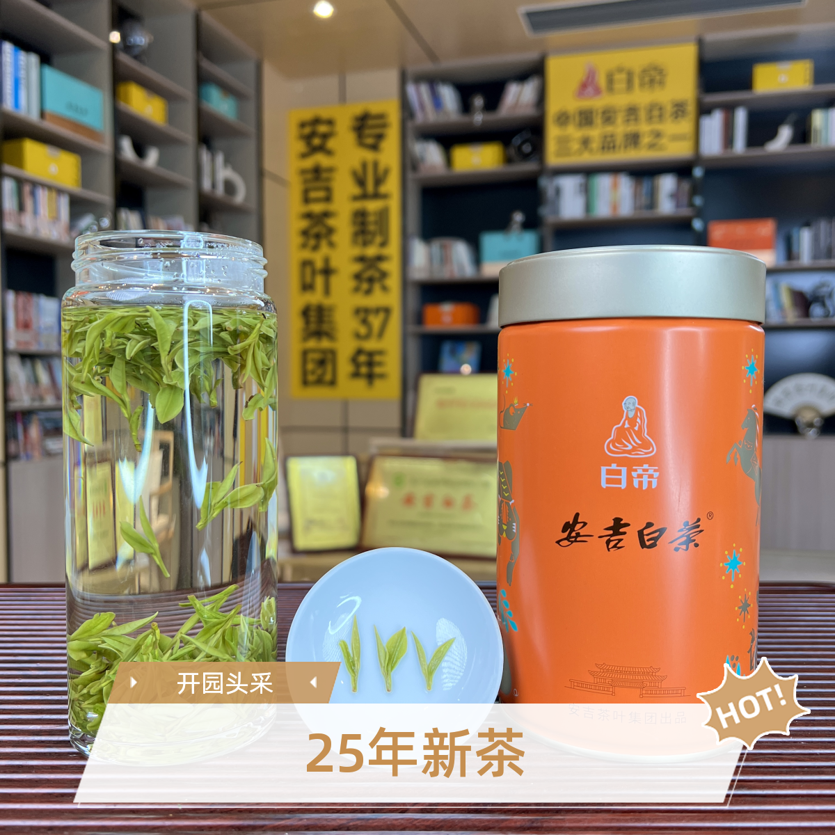 7号【开园头采F01】25年新茶浙江原产地安吉白茶春季开园头采