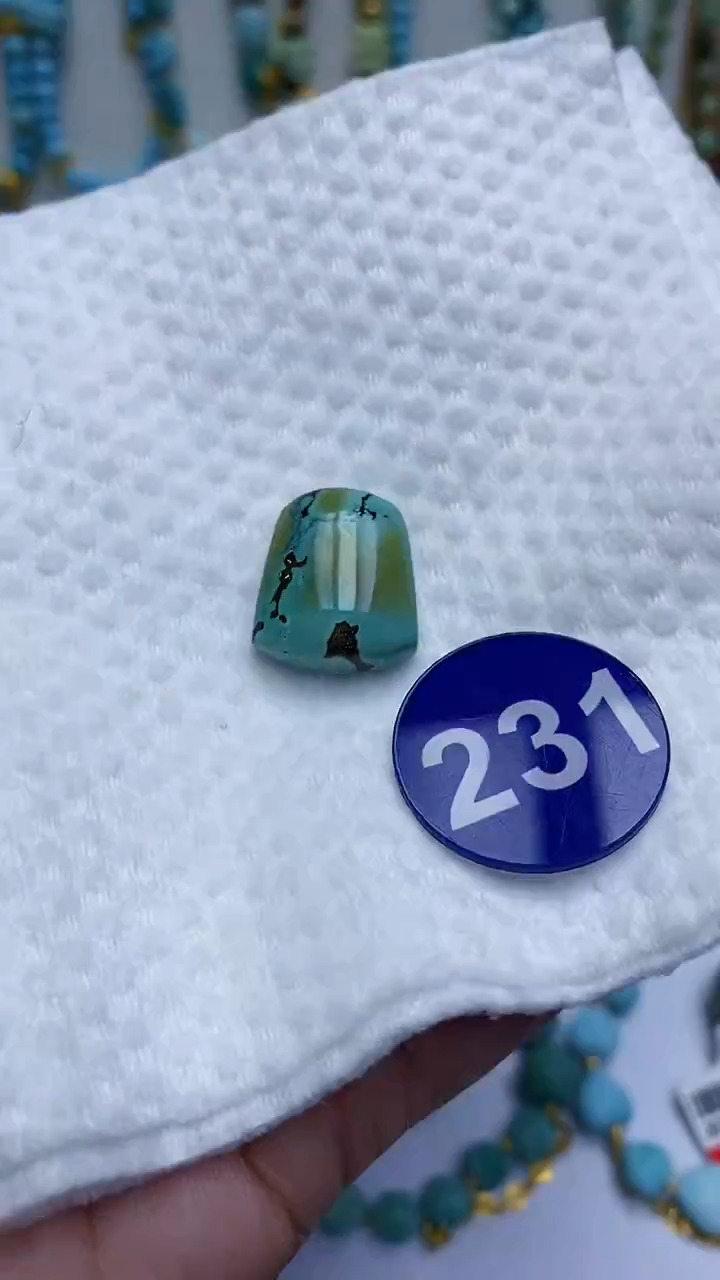 【闪购商品】绿松石牌子未镶嵌231