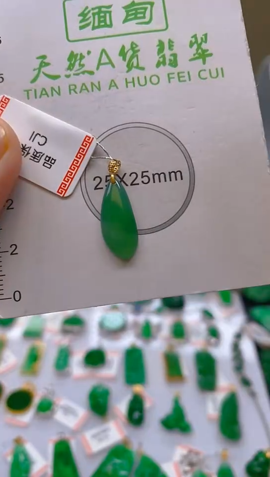 【闪购商品】翡翠颈饰18K金镶嵌新号开播，全场乱卖