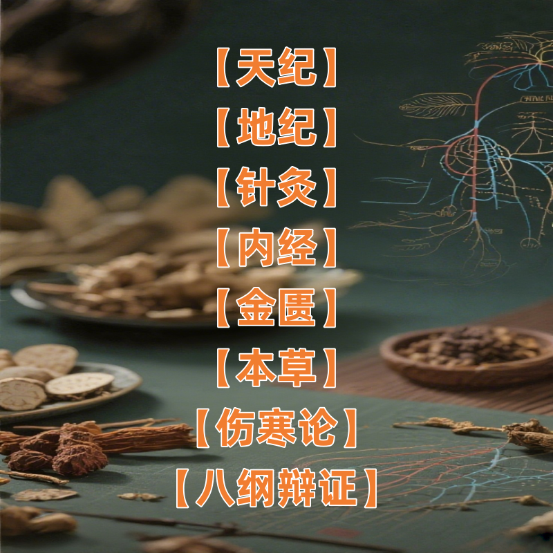 倪师海厦原版高清视频 带字幕 天地人纪针灸资全集 会员福利分享