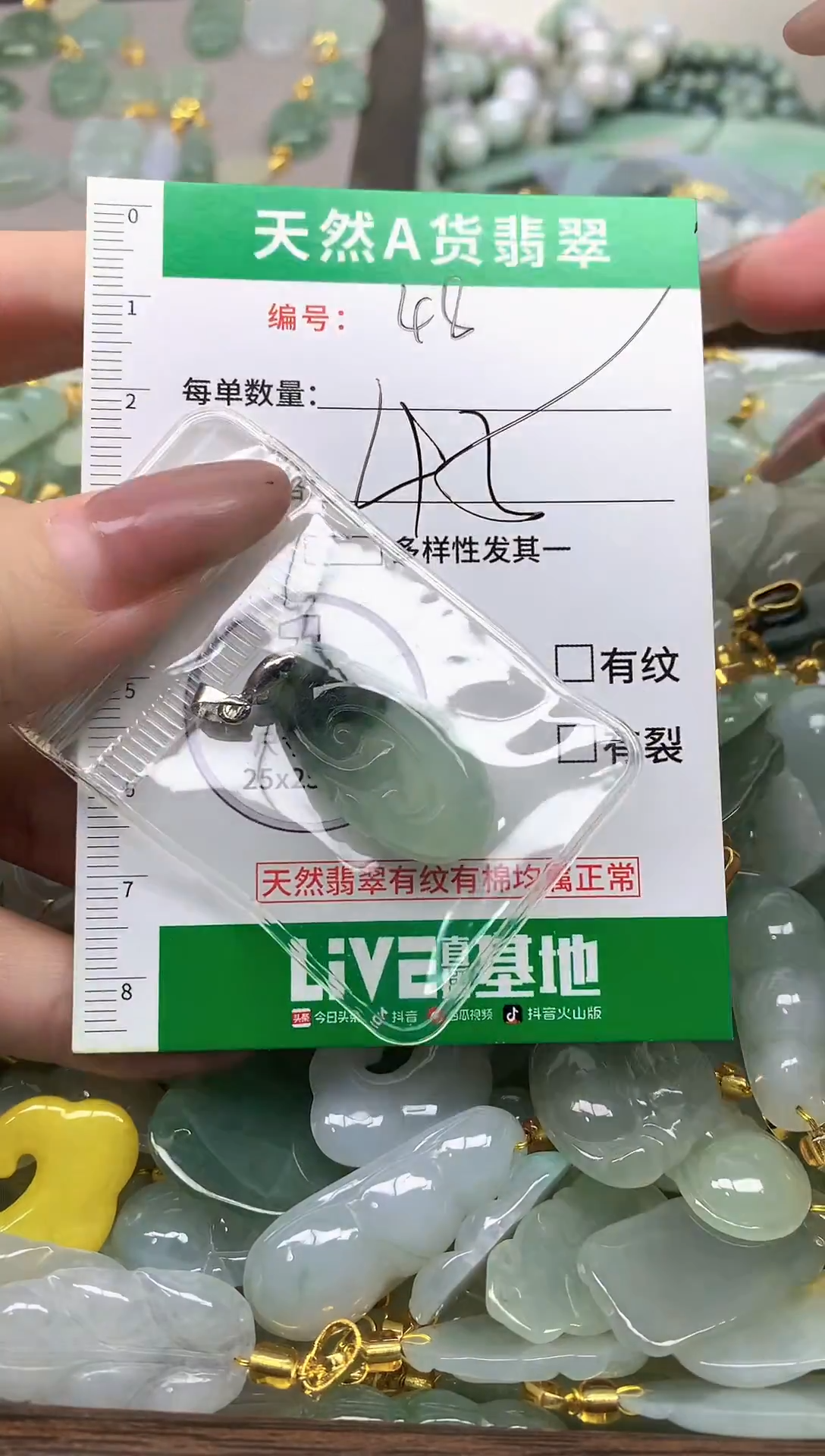 颈饰未镶嵌翡翠纯天然缅甸A货翡翠-48