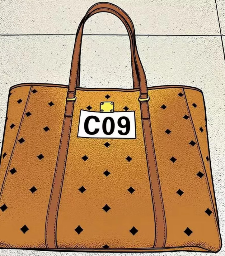 c09中号菜篮子包