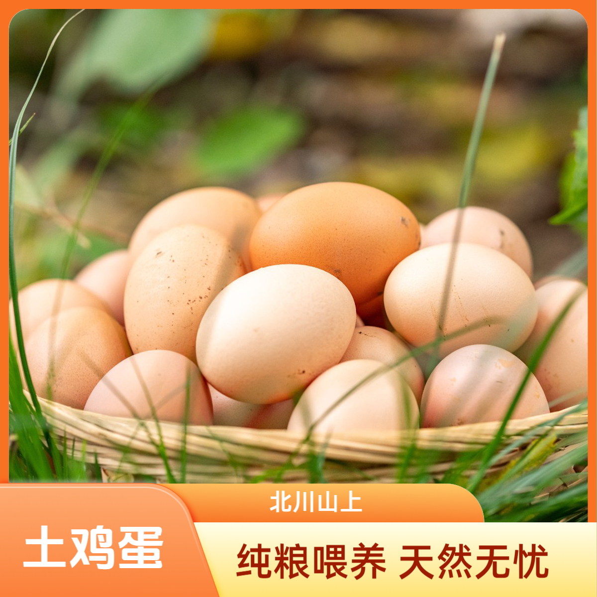 【北川山上】农家土鸡蛋-纯粮食鸡蛋农家散养