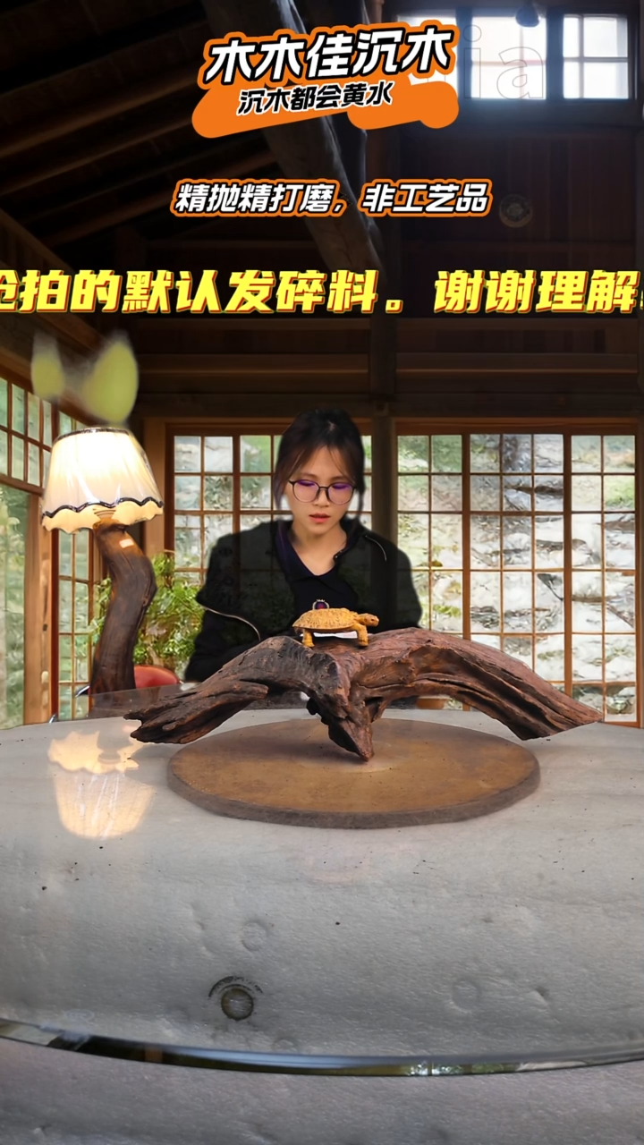 R****恩木木佳沉木鱼缸造景-463