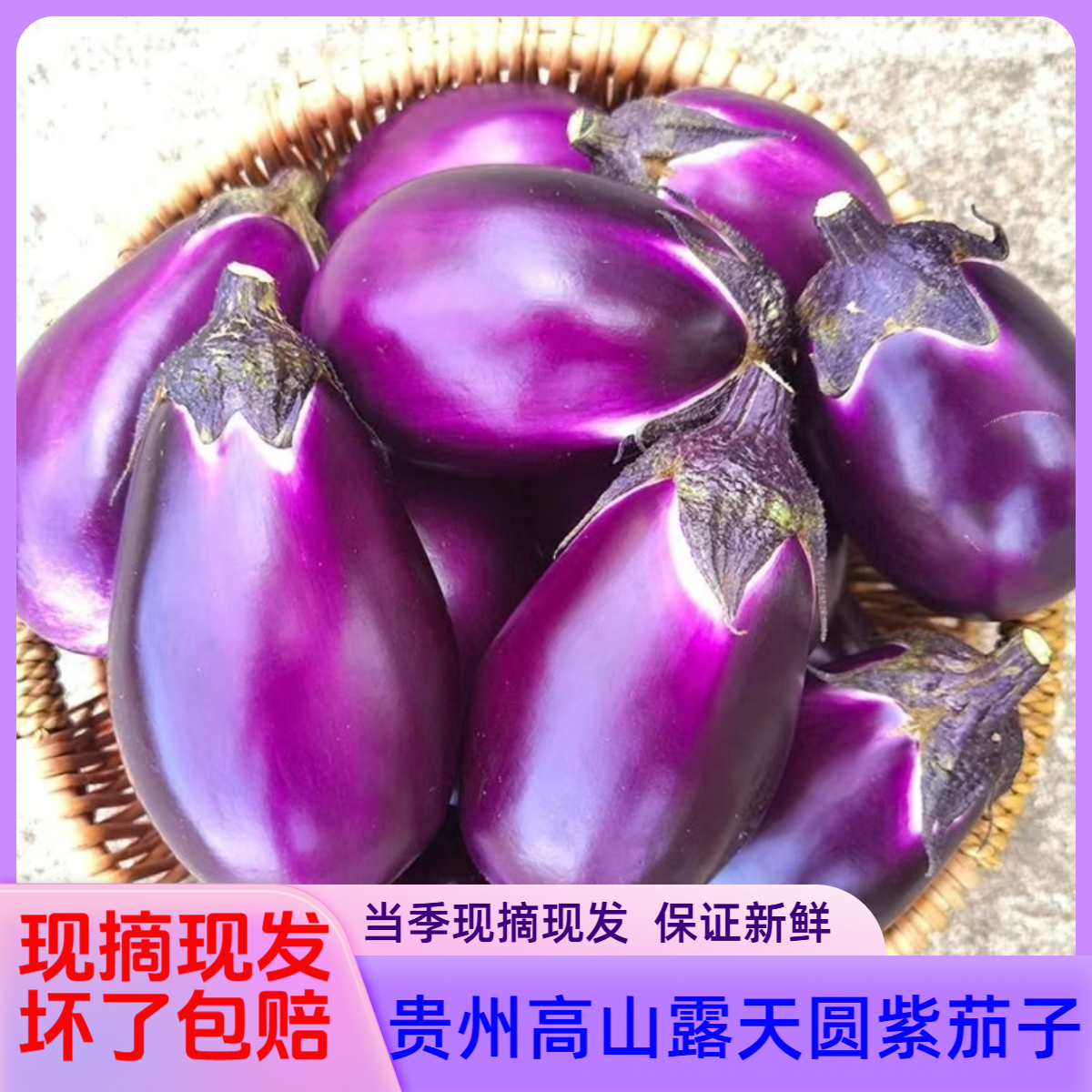 贵州山区露天紫皮茄子当季软糯可口时令贵州水煮菜贵州素瓜豆