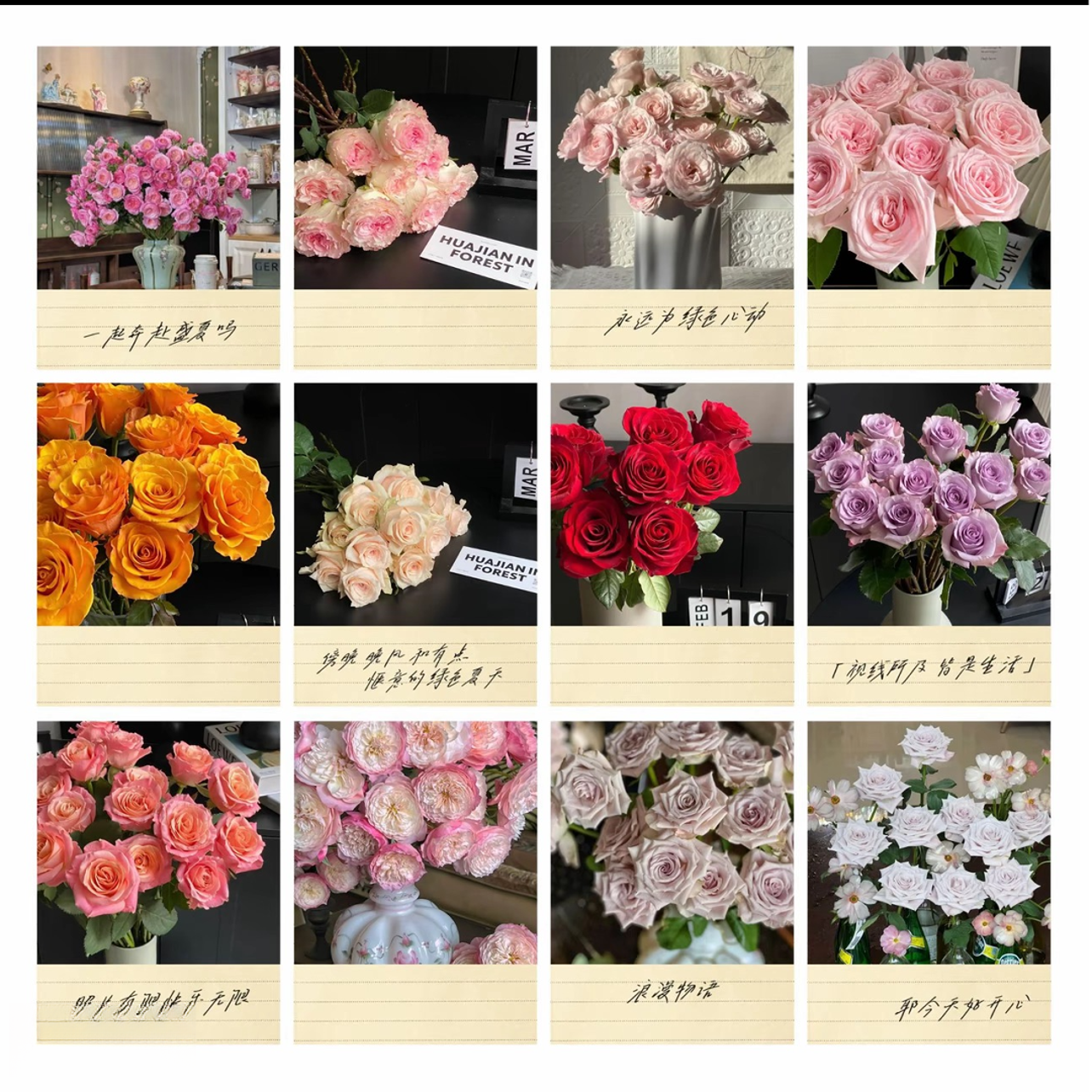 【随机多头玫瑰】 同城明天到-全场任意满2单以上鲜花升级顺丰京东包邮