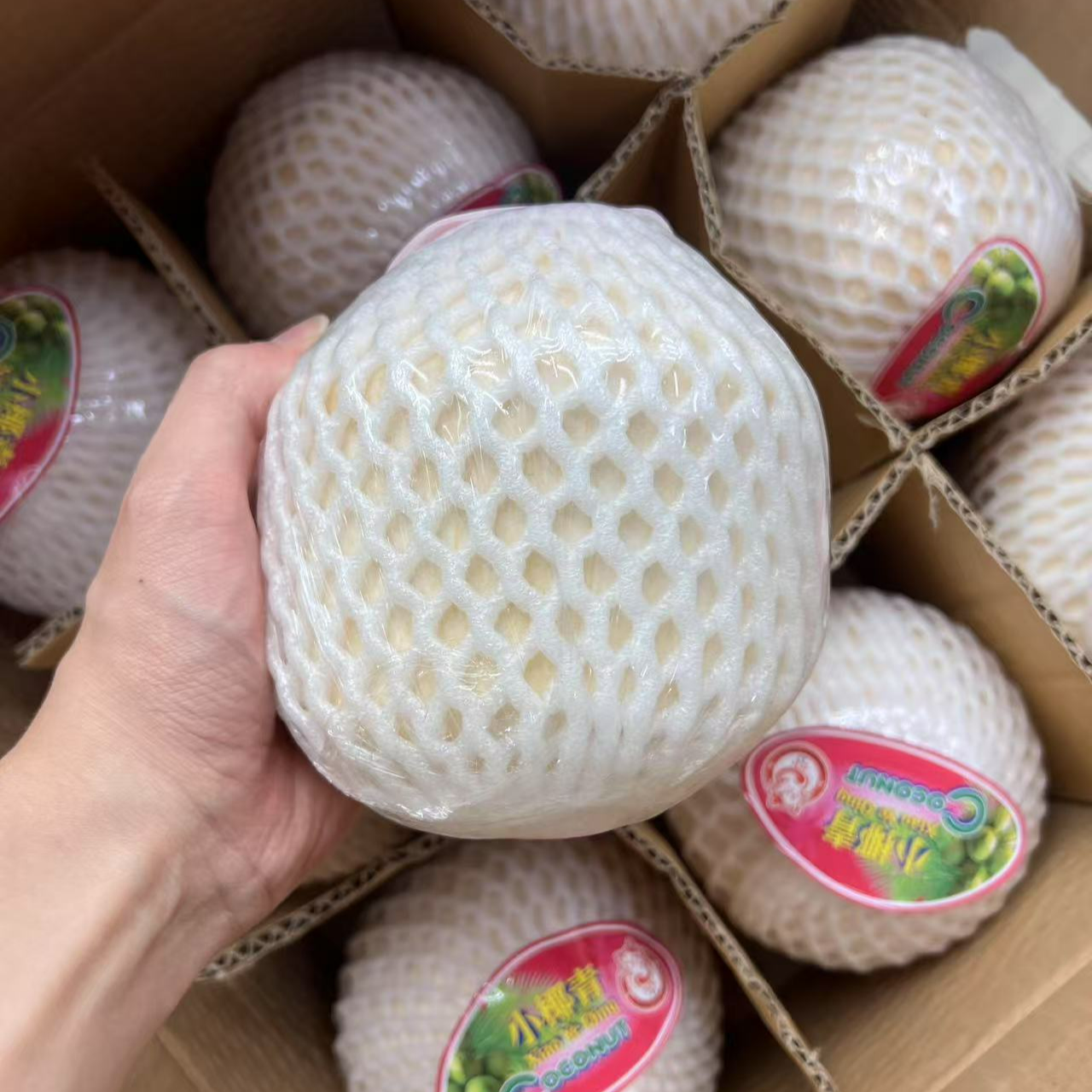 清甜爽口海南《椰青》6.99/个