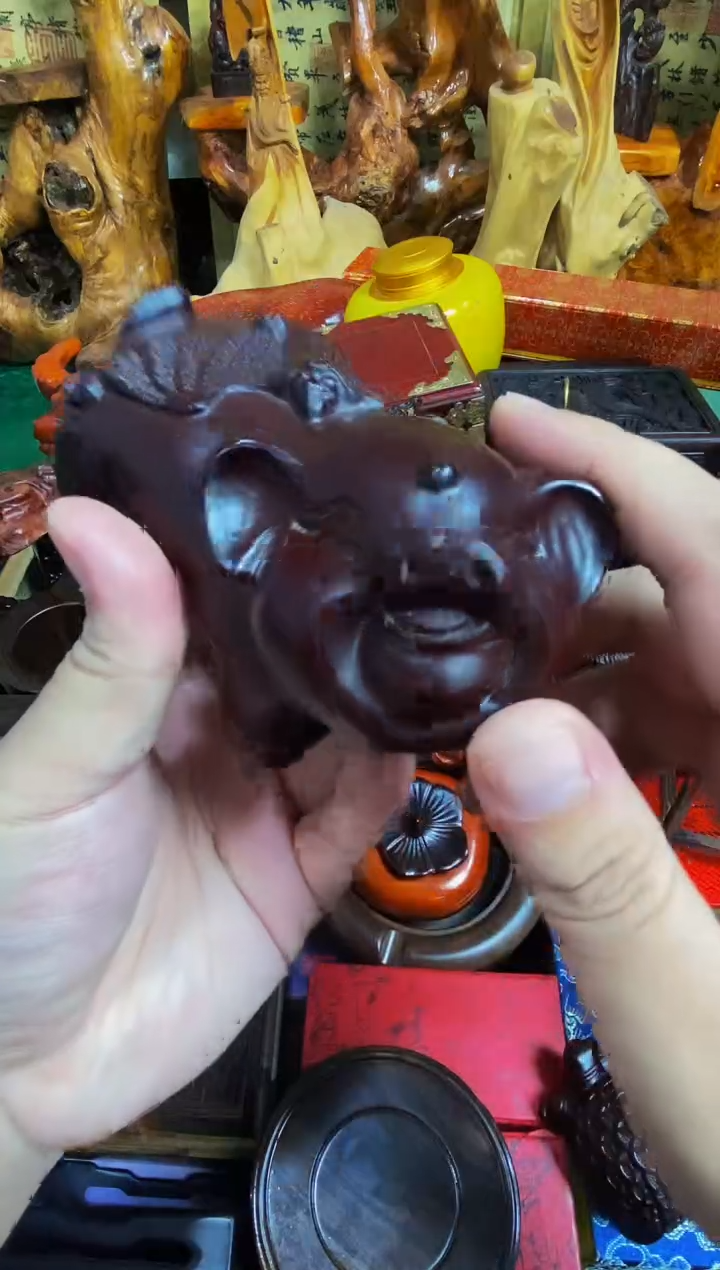 香榧木猪直播推荐直播推荐