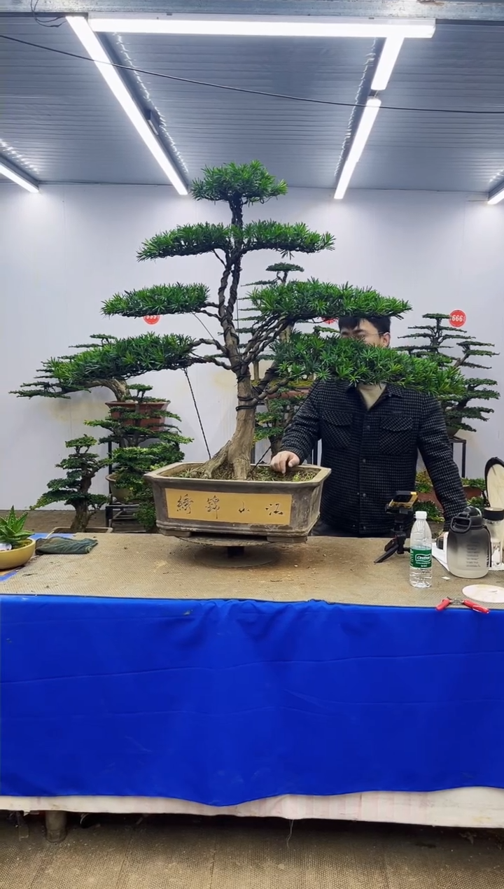 完全开放一物一拍，所见即所得