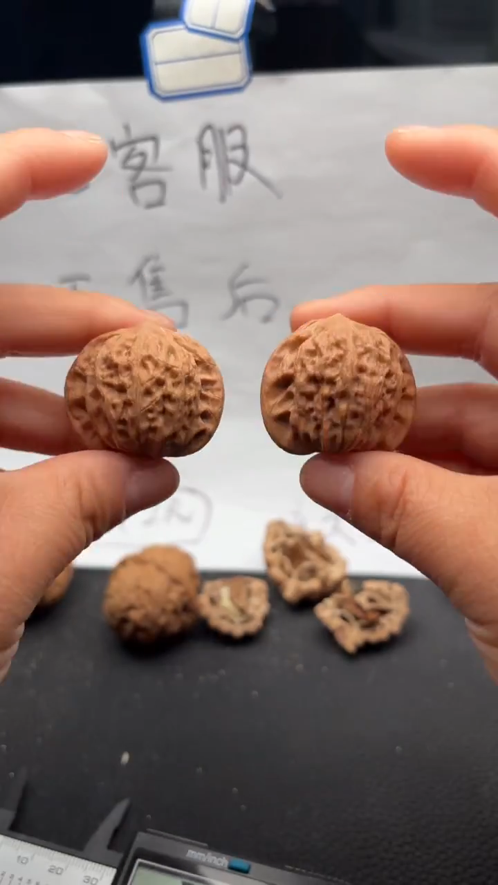 把件文玩核桃549公子帽