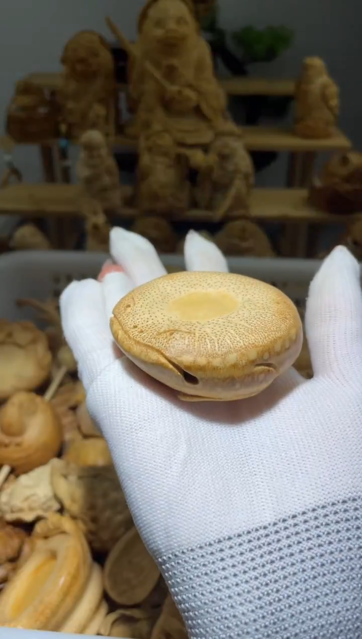 竹岁**声扁蟾1111111111